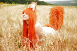 Sexy fox in the fields ;)