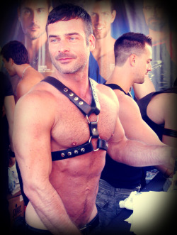 sexycalistuds:  tylerdiamond:  Dirk JagerSexy beast   YUMMY!  nipples and harness