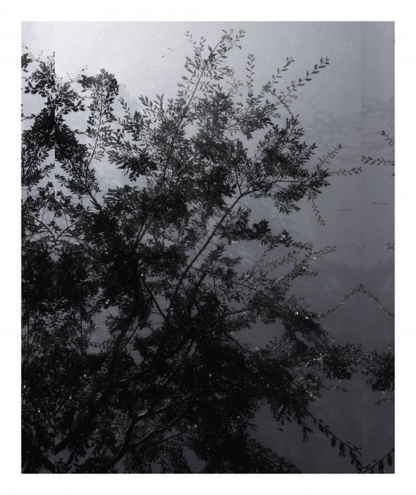 contemporaryartdaily:  Luisa Lambri at Thomas Dane 
