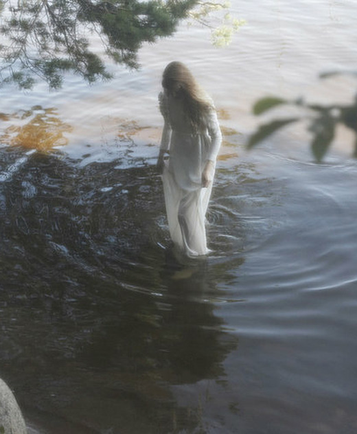 bienenkiste:  Ph. Roberto Rubalcava 