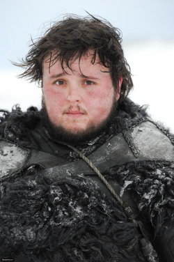 delawarecub:  hurtta:  Samwell Tarly   Oh Sam ….