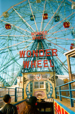 accebear:  Places/Wonder Wheel by Francesca Bates on Flickr.