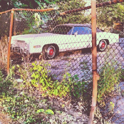 #cadillac (Taken with Instagram)