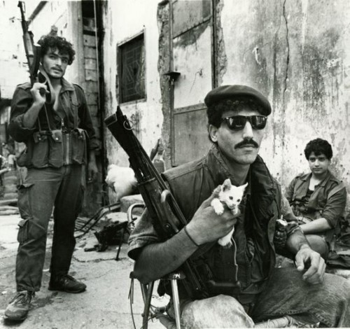 Sex kohoofelrouh:  ‘A Palestinian fighter holds pictures