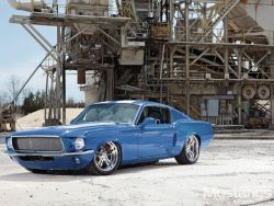 Muscle Car Dreaming