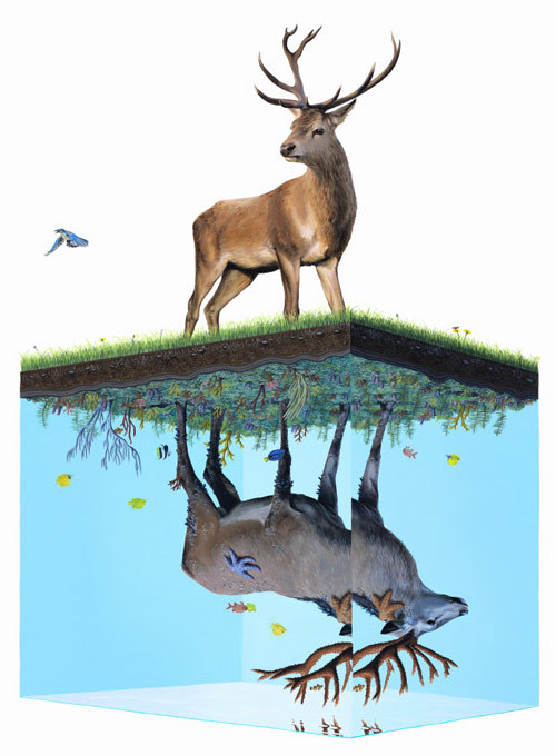 ryandonato:  Josh Keyes 