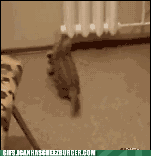  Warning: this blog will give you a laugh-attack. 