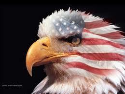 gingerpub3s:  HAPPY ‘MURICA DAY FUCKERS. 