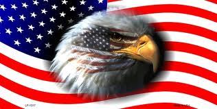 gingerpub3s:  HAPPY ‘MURICA DAY FUCKERS. 