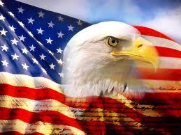 gingerpub3s:  HAPPY ‘MURICA DAY FUCKERS. 