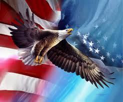 gingerpub3s:  HAPPY ‘MURICA DAY FUCKERS. 