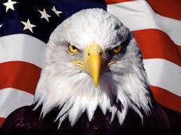 gingerpub3s:  HAPPY ‘MURICA DAY FUCKERS. 