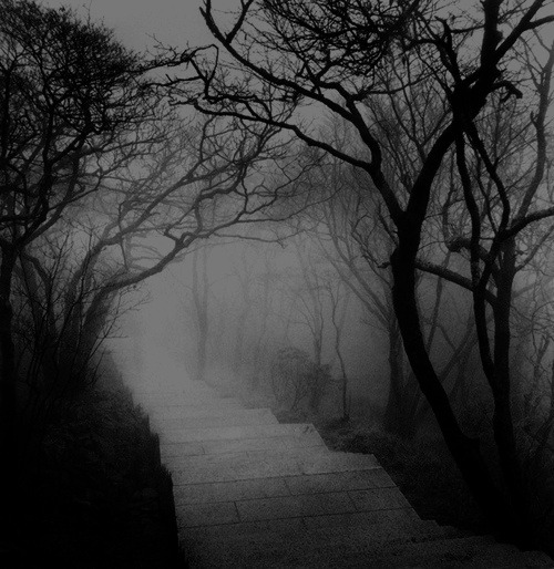 blackmagicbunny:  Let’s go for a walk 
