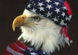 deliciouskaek:  hamburgerjack:  mybelovedcheshire:  barackfuckingobama:  IT’S OFFICIALLY INDEPENDENCE DAY ON THE EAST COAST. HAPPY JULY 4TH, LET FREEDOM RING, BLOW UP FIREWORKS, EAT SOME PIE, BE INDEPENDENT, HAVE A BBQ, AND GOD BLESS AMERICA.    It