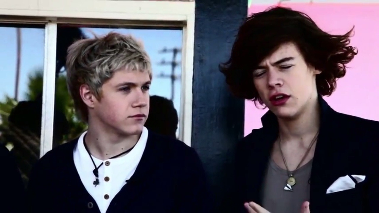 one direction derps
