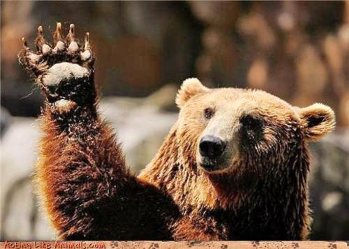 bunnyfood:  I love bears (via wehatecollege:wwiao)  esse tedy é muito educado