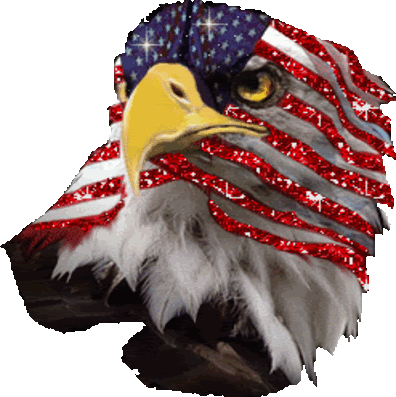 capitolchaos:  I may lose followers today because of the 4th of July spam, but I’ll never lose my FREEDOM  