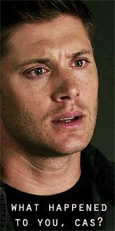 beeishappy:  504 | The End606 | You Can’t Handle The Truth [✪]