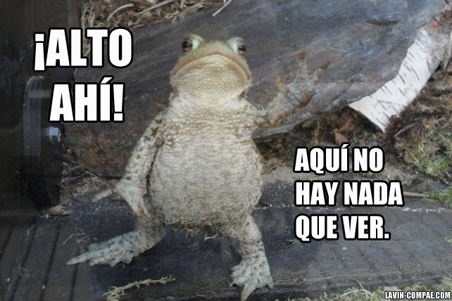 lavin-compae:  ¡Desalojen! 