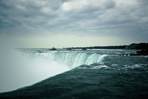 (via imgTumble)