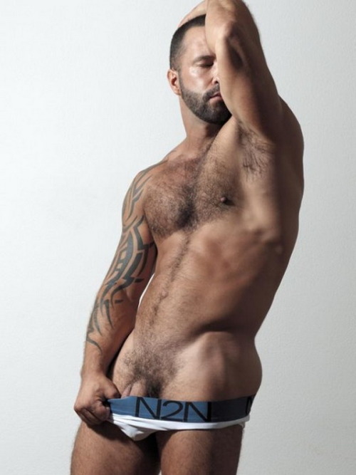 Bears4me37601