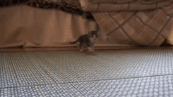 rraaaarrl:  :3 [x] 