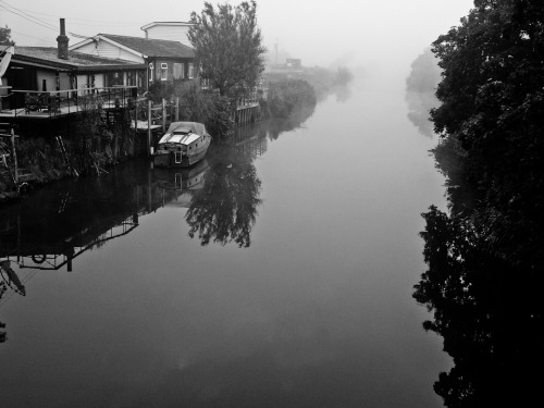 filmus-monochromus:Misty morningDigilux 2