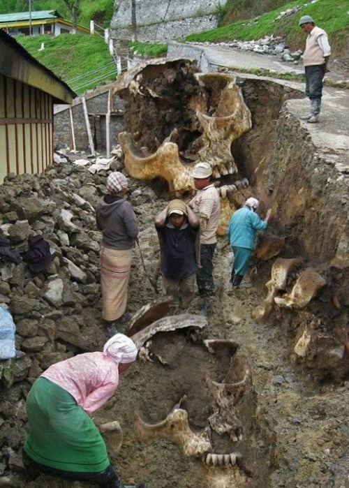 f-a-d-e-to-black:  adiboi-crash:  9ether-vibrations:  Proof of Giants  If this is real. Then wow  Mierda :o