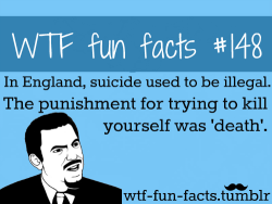 wtf-fun-facts:  MORE OF WTF FUN FACTS ARE