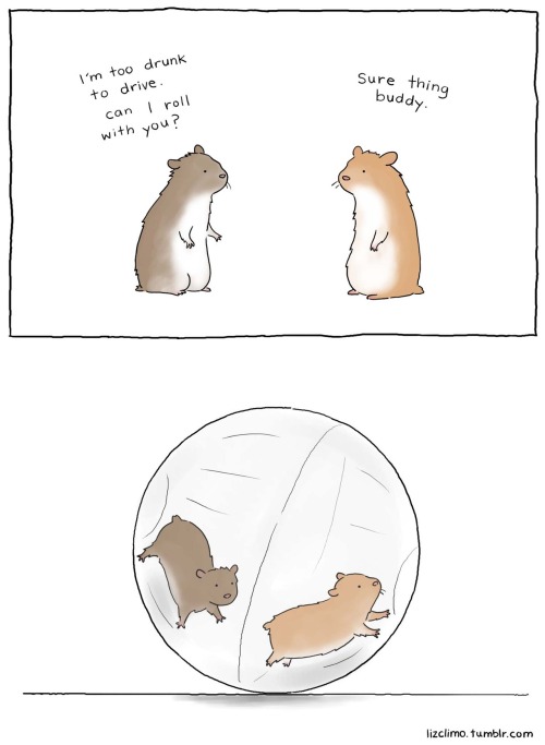 lizclimo:  Happy 4th of July. Be safe  