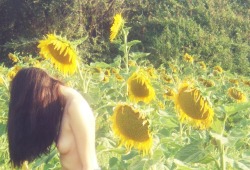 anitadada:  I’m a weak sunflower. New series signed Anita Dadà. Self-shot, obviously.