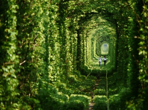 Tunnel of LoveThe ‘Tunnel of Love’ is located in Klevan, Ukraine. The stretch of train