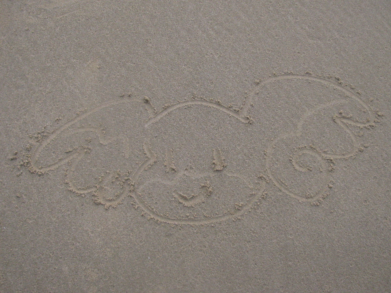 bunne in the sand