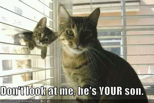 Me one day :p