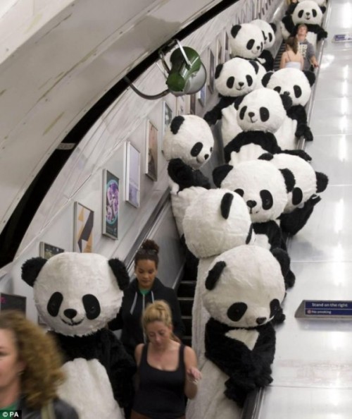 108頭のパンダがロンドンの街中を行進!!　地下鉄を占拠した後に太極拳を披露!!! | IRORIO（イロリオ） - 海外ニュース・国内ニュースで井戸端会議