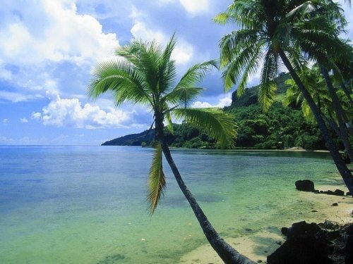 serene-tribe:✿ ✌ ☯ more  tropical here☯ ✌ ✿