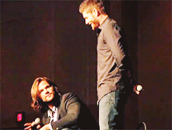 mooseandtiger:  ♦ 