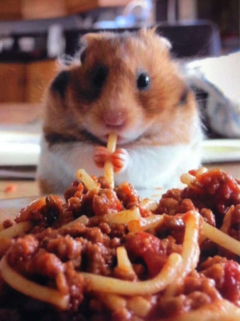 villagevoice:  This picture, from British dentist Toby Dignum, is insanely cute.