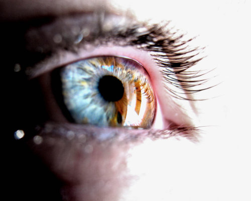 asrandomasmylife: Heterochromia: a beautiful mutation