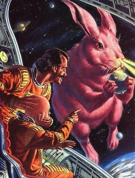 Sex butterflycabinet:  Space bunny  pictures