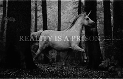 Logotv:  So True… 