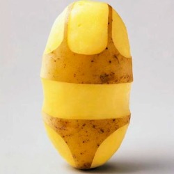 jim-is-fabby:  k1mkardashian:  thatsmoderatelyraven:  can this sexy potato get 1000 notes?  REAL potatoes don’t dress like whores and have self respect. cover up hun(:    