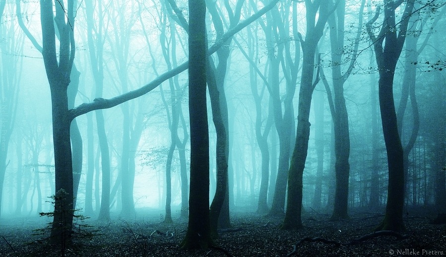 constantphobia:  The Edge by *Nelleke 
