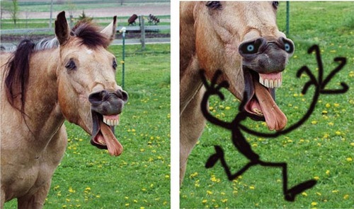 rock-and-smiles:  Rock And Smiles