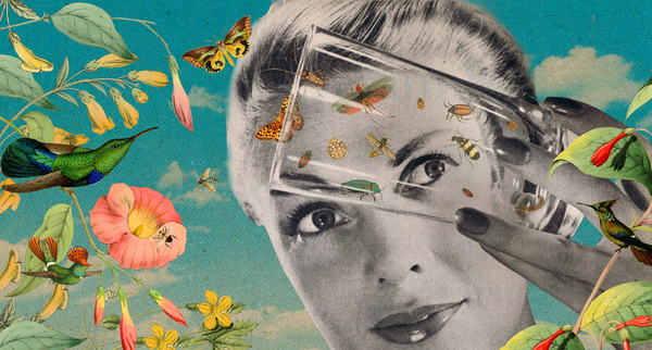 thecollectivecollage:  “Set Them Free” by Sammy Slabbinck 