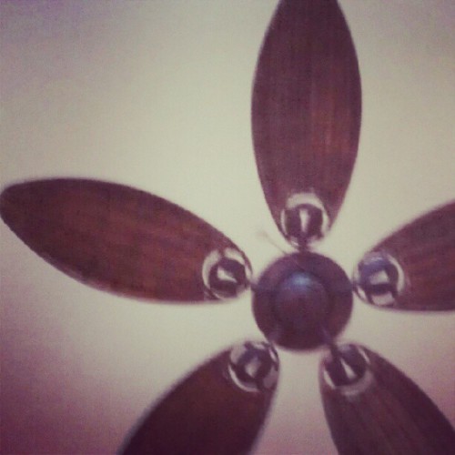 #photoadayJuly #onthefloor #day5 (Taken With Instagram)