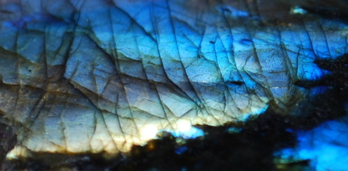ritornel:Labradorite is basically the coolest.