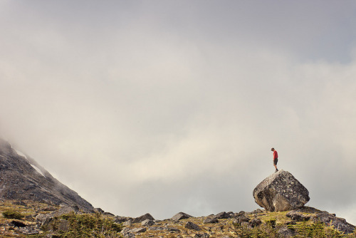 cillium:rod on a rock by eyebex on Flickr.