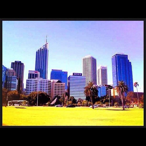 The view PERTH from my lunch spot #winter #perth #city #park (Taken with Instagram)