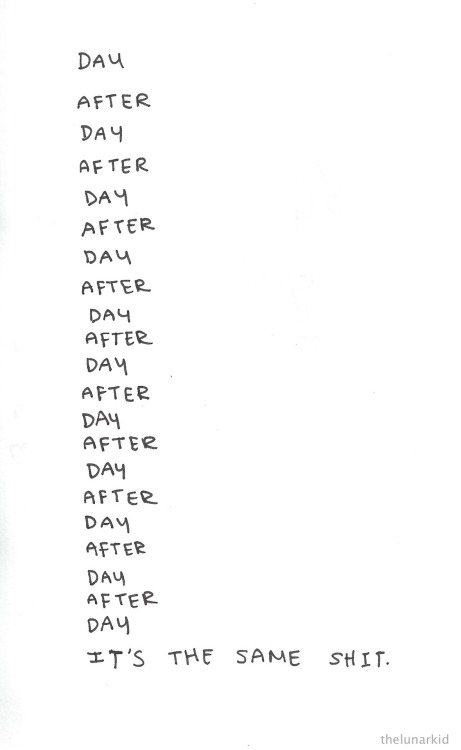 virgin—suicides:  this